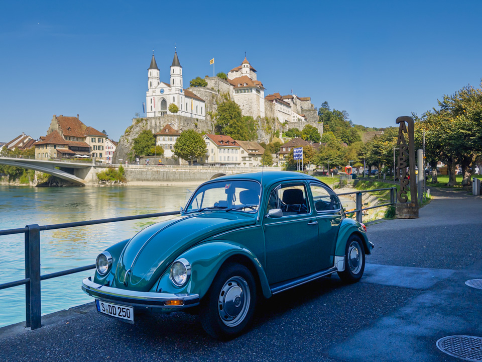 Käfer vor der Aarburg