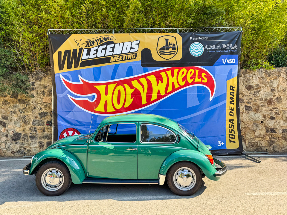 Käfer vor der Aarburg