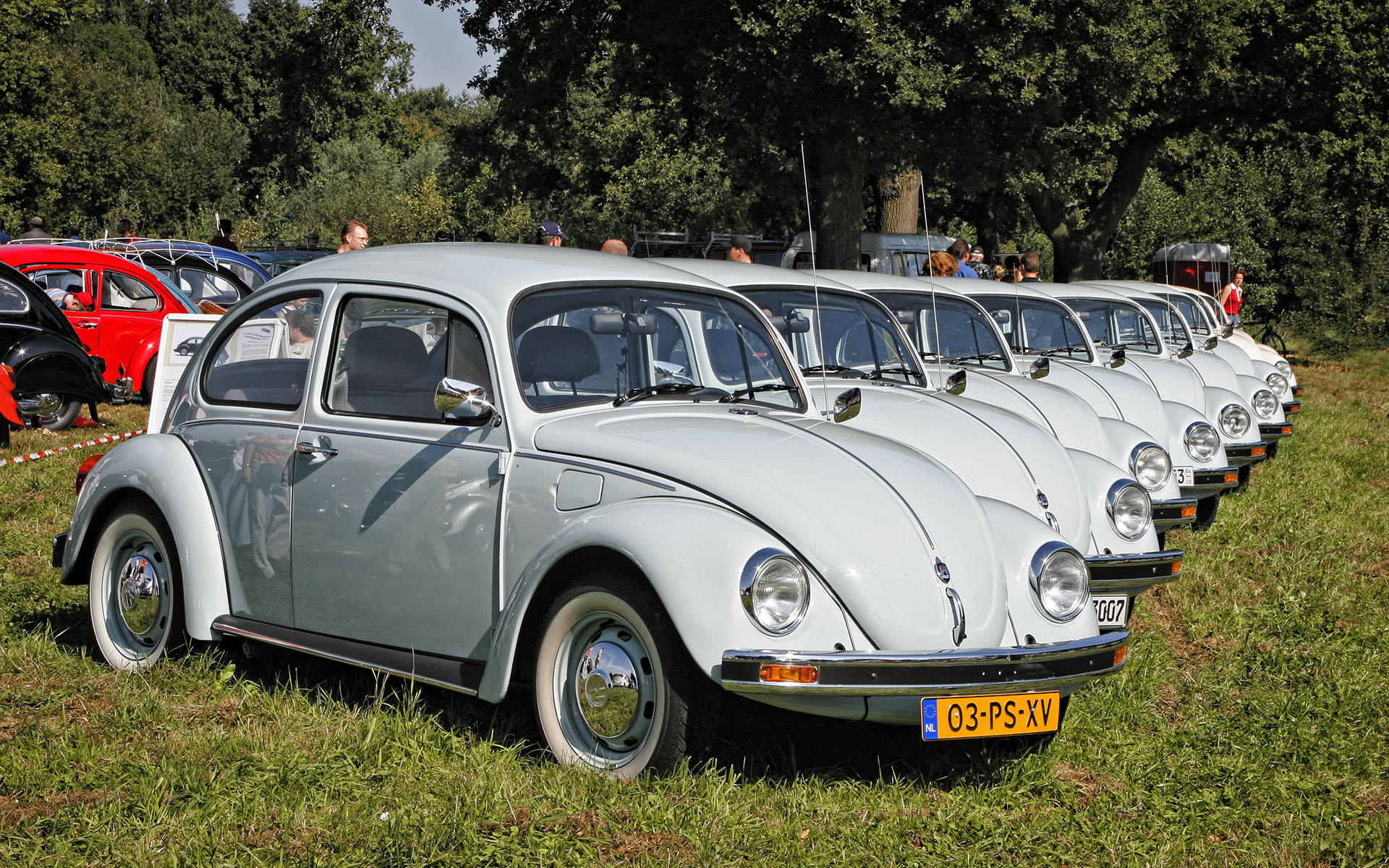 Schinveld Beetle Meeting