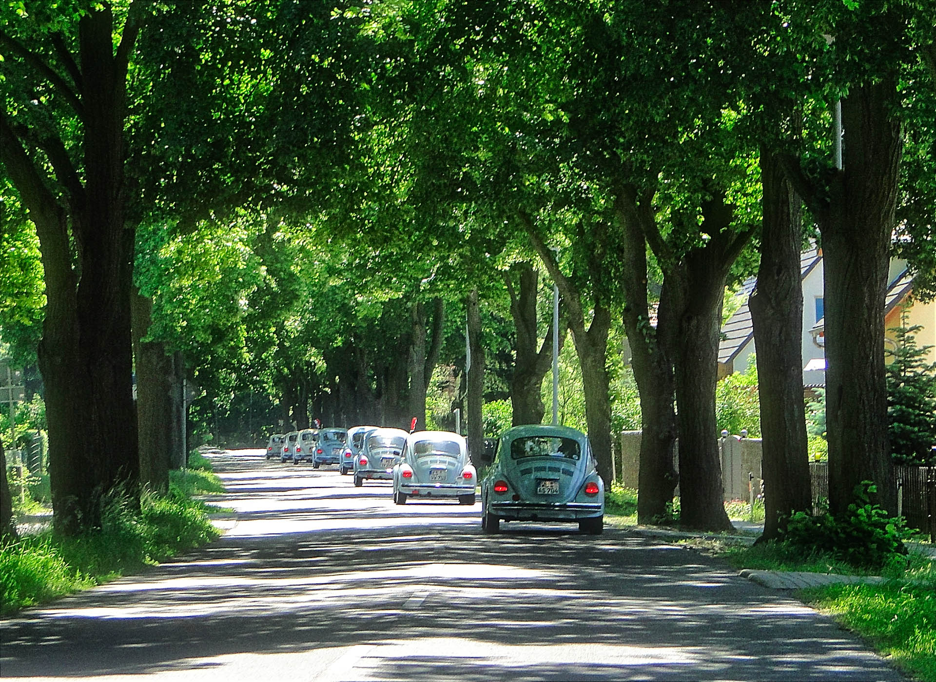 Atravesar una avenida