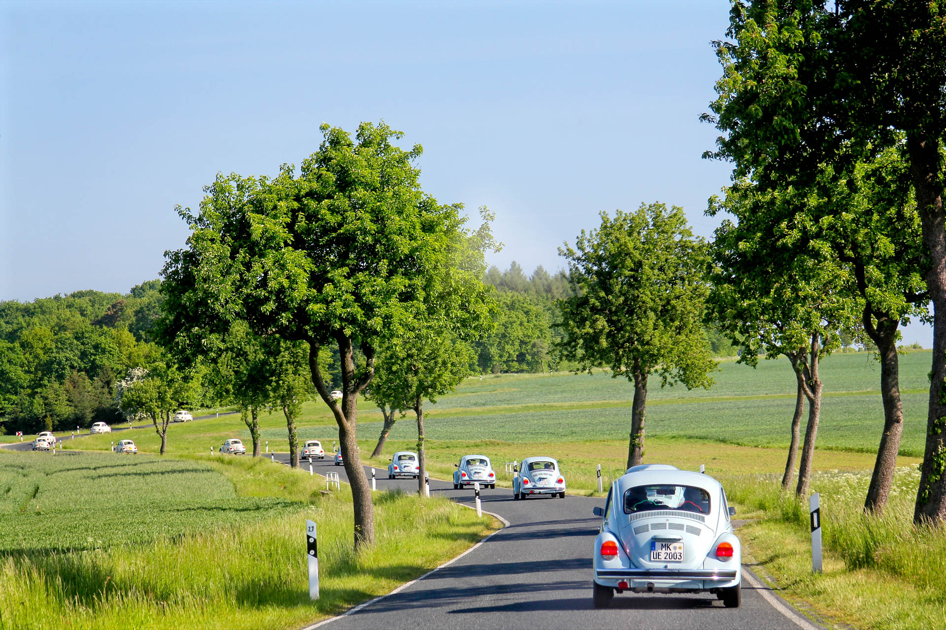 Return journey to the hotel