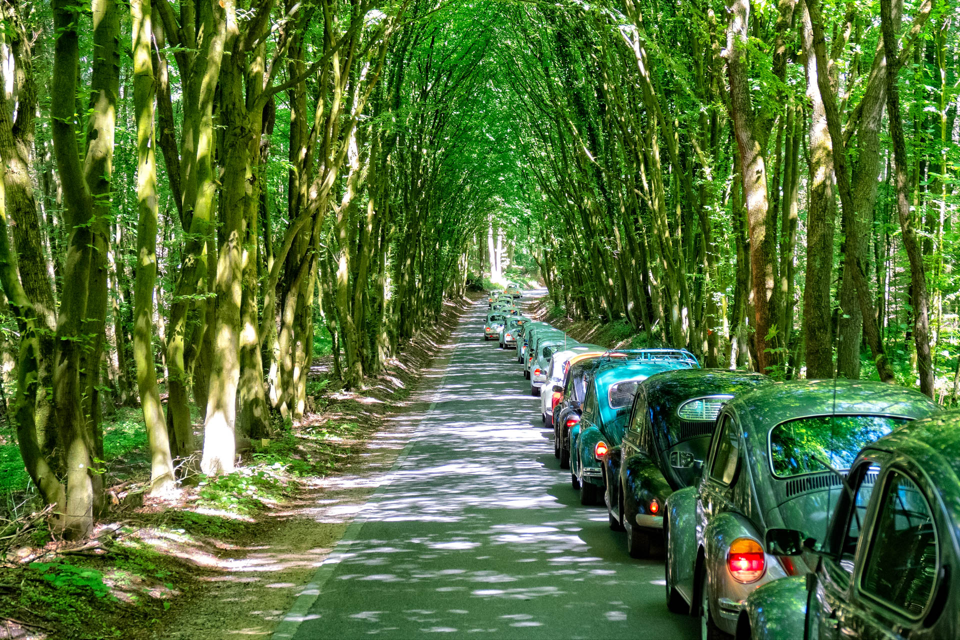 Convoy ride through rustic landscapes