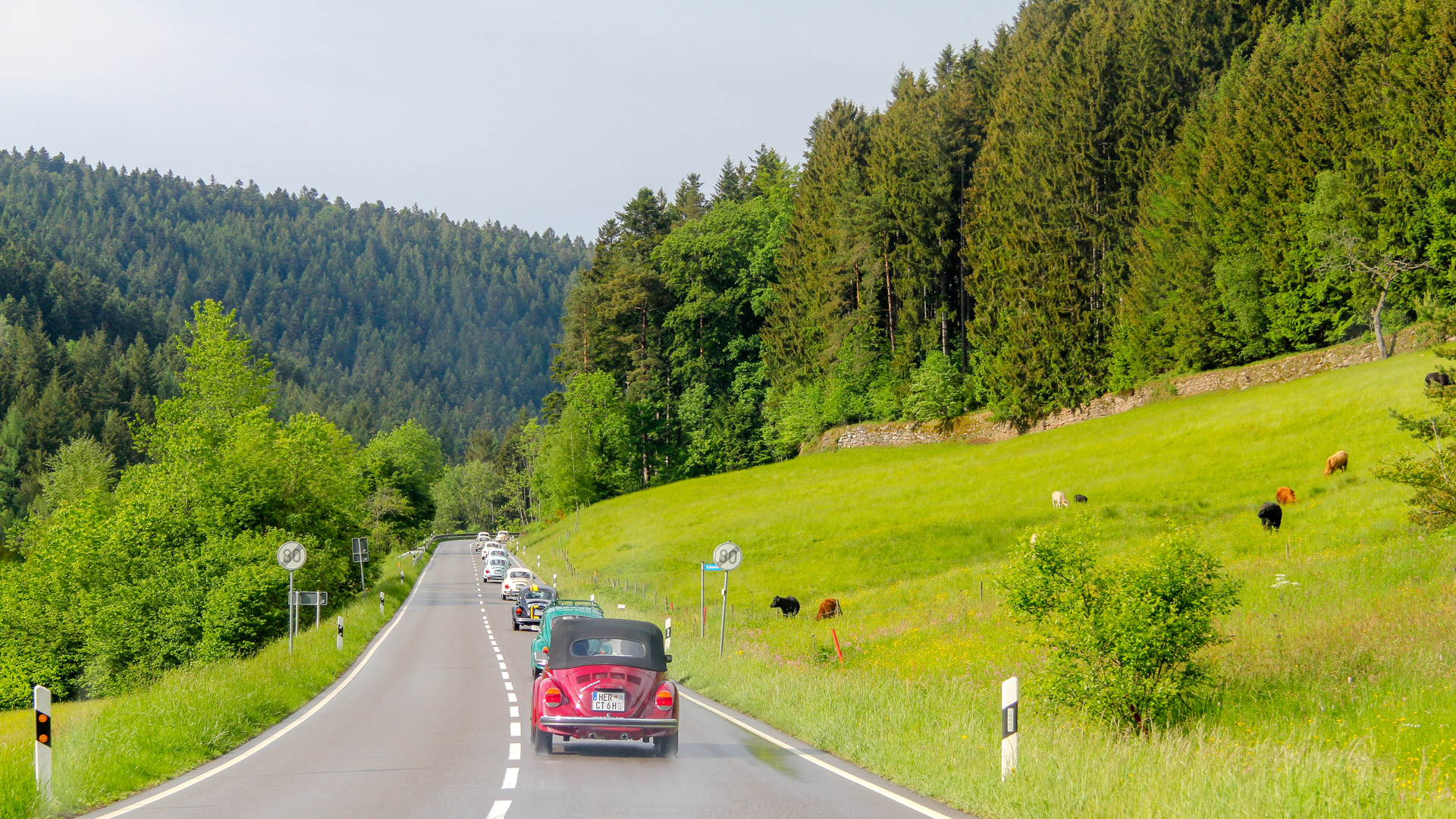 In convoy towards Freudenstadt