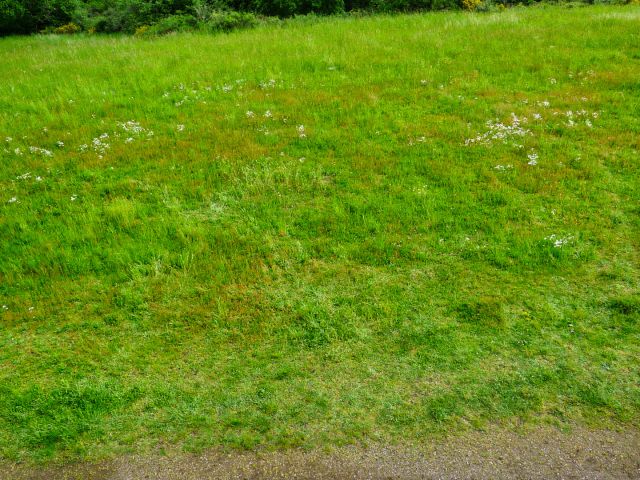 Torre de observación de Meerfeld