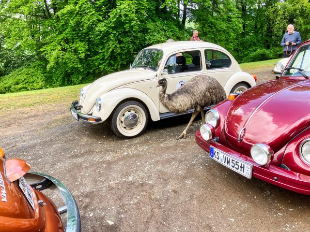 Parque Natural y de Aventura de Daun