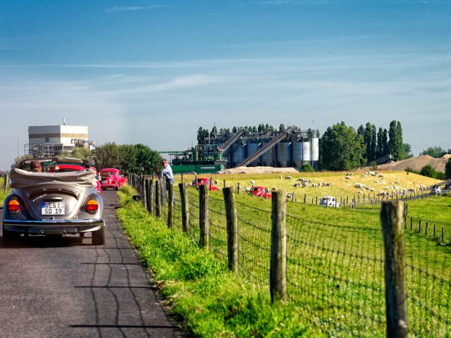 On the dam on the Lower Rhine near Bislich