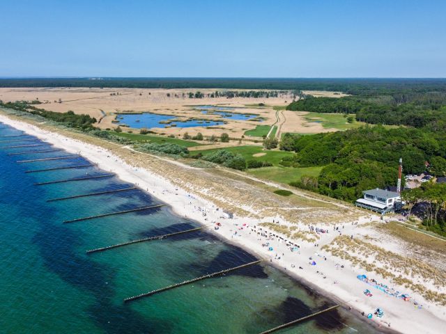 Blue Buoy, Markgrafenheide
