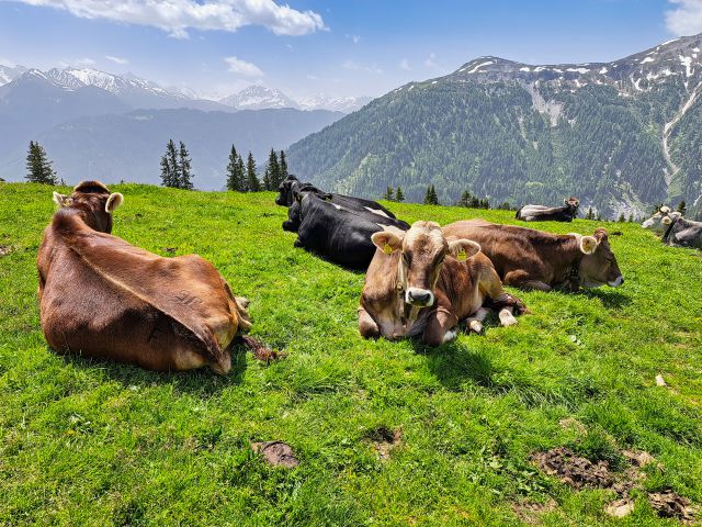 View from the Alpkopf