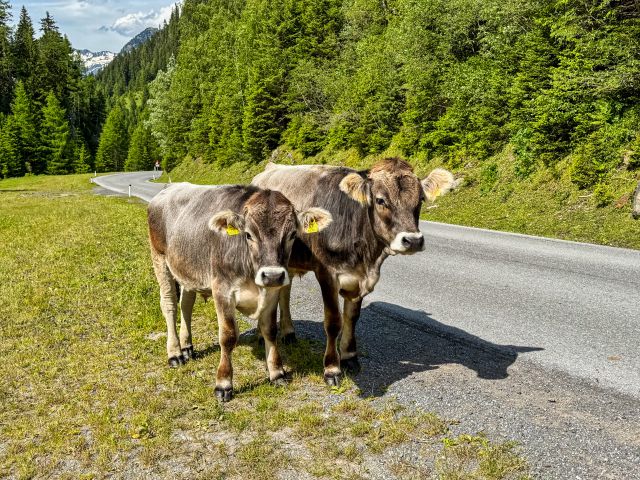 Carretera del glaciar Kaunertal