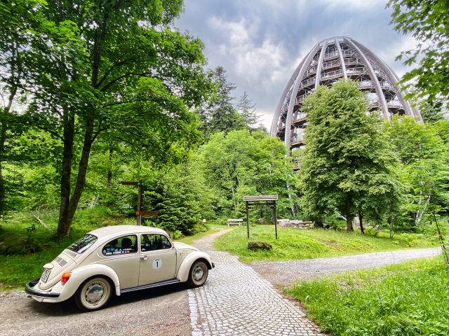 Treetop Walk in Neuschönau