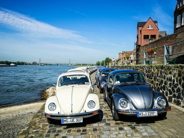 Paseo del Rin en Rees