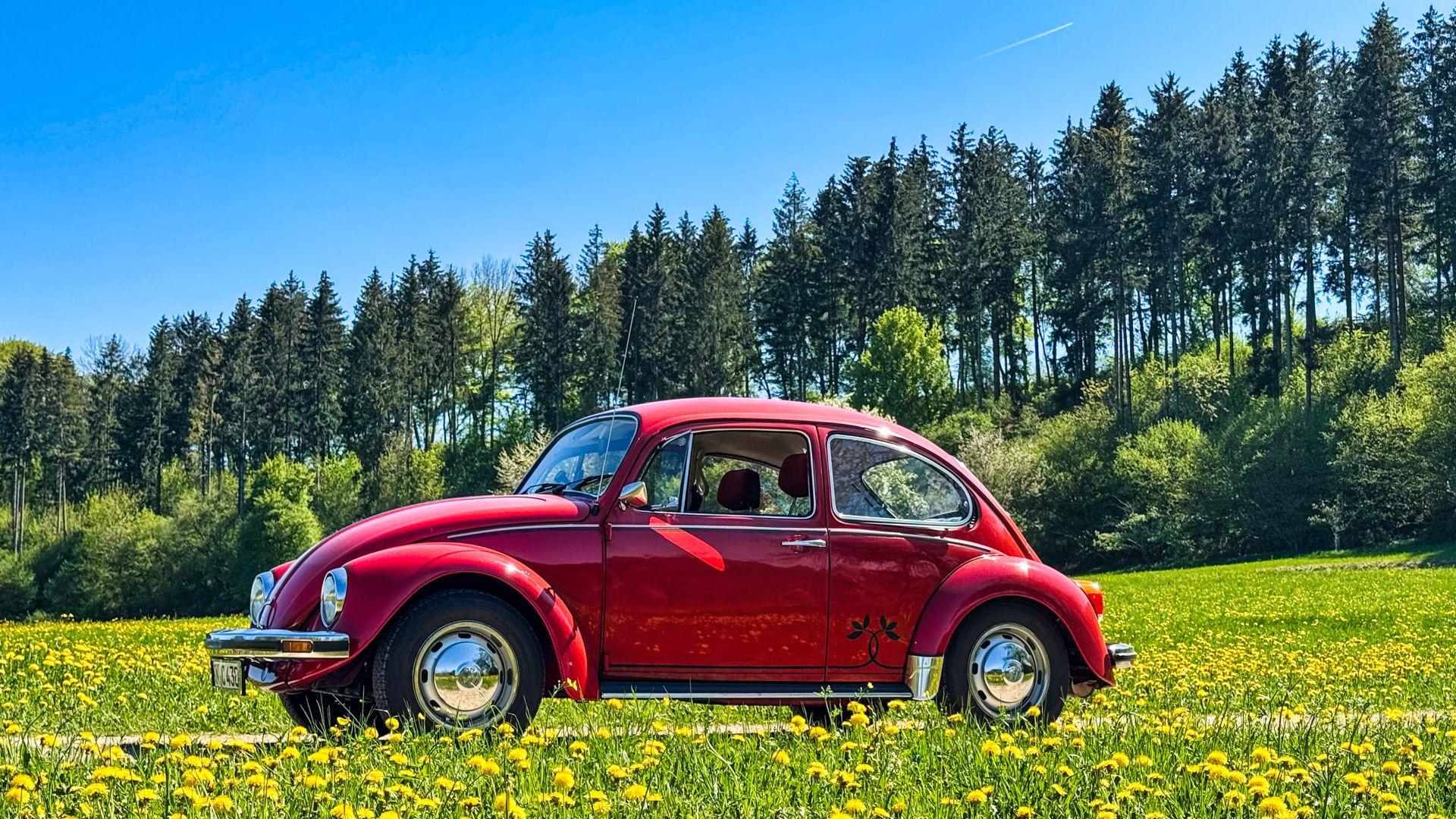 Wir wünschen einen schönen Frühling.