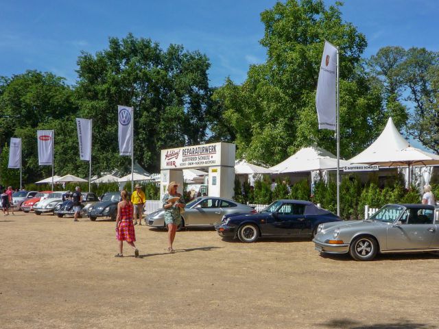 No sólo se presentaron escarabajos