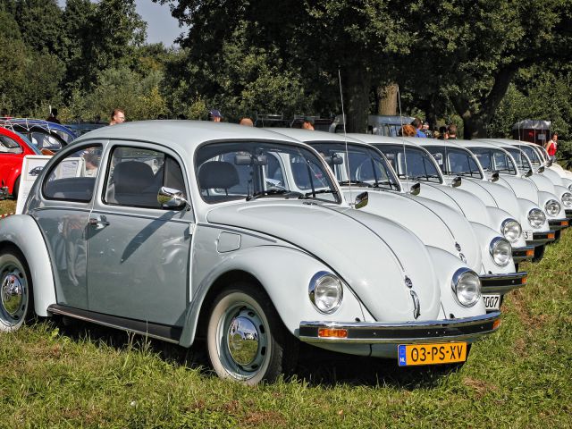 Reunión de escarabajos de Schinveld