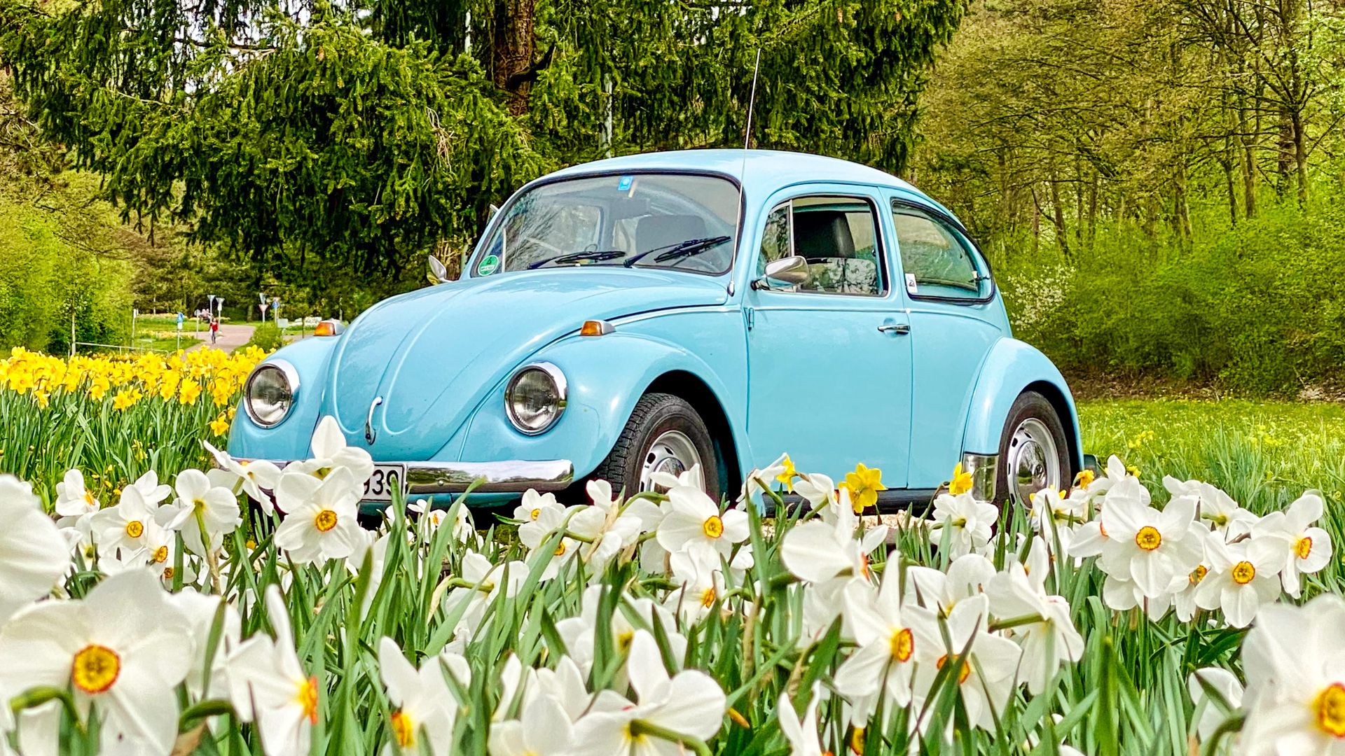 Wir wünschen einen schönen Frühling.